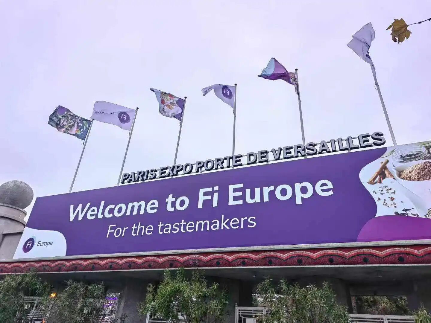 Fi Europe 2025